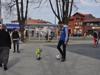 Sam zdecyduj o swoim 1%